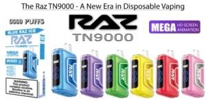 Unveiling the Flavorful Experience: Razz TN9000 Disposable Vape
