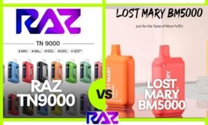 Raz TN9000 vs. Lost Mary BM5000: Which Disposable Vape is Best?