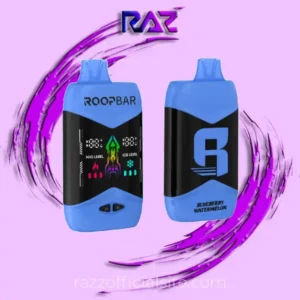 Blueberry Watermelon RoopBar Nic+Ice Control 40,000 Puffs Disposable Vape - 5% Nic