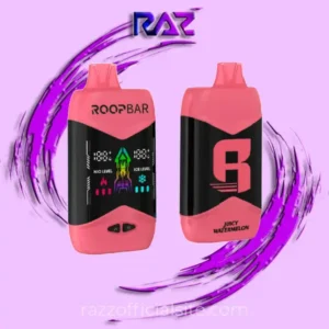 Juicy Watermelon RoopBar Nic+Ice Control 40,000 Puffs Disposable Vape - 5% Nic