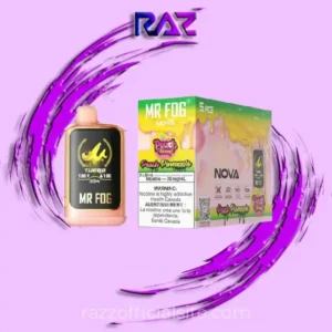 Pineapple Mr Fog Nova  36000 Puffs Disposable Vape - Peach Steezy