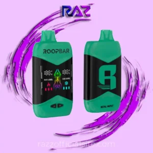 Real Mint RoopBar Nic+Ice Control 40,000 Puffs Disposable Vape - 5% Nic
